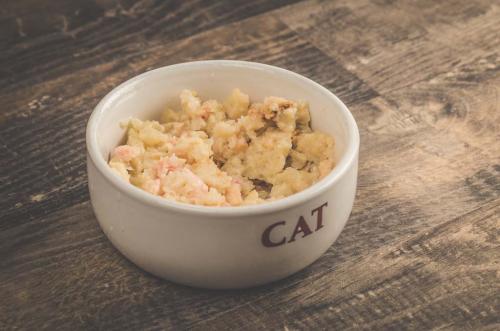 bowl of cat food
