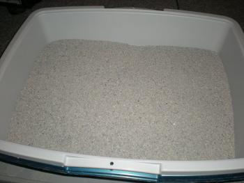 fresh cat litter in litter box